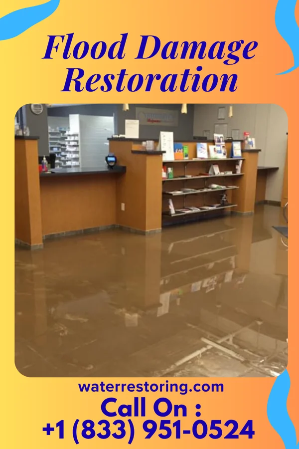 Flood Damage Restoration in Francisco, IN
