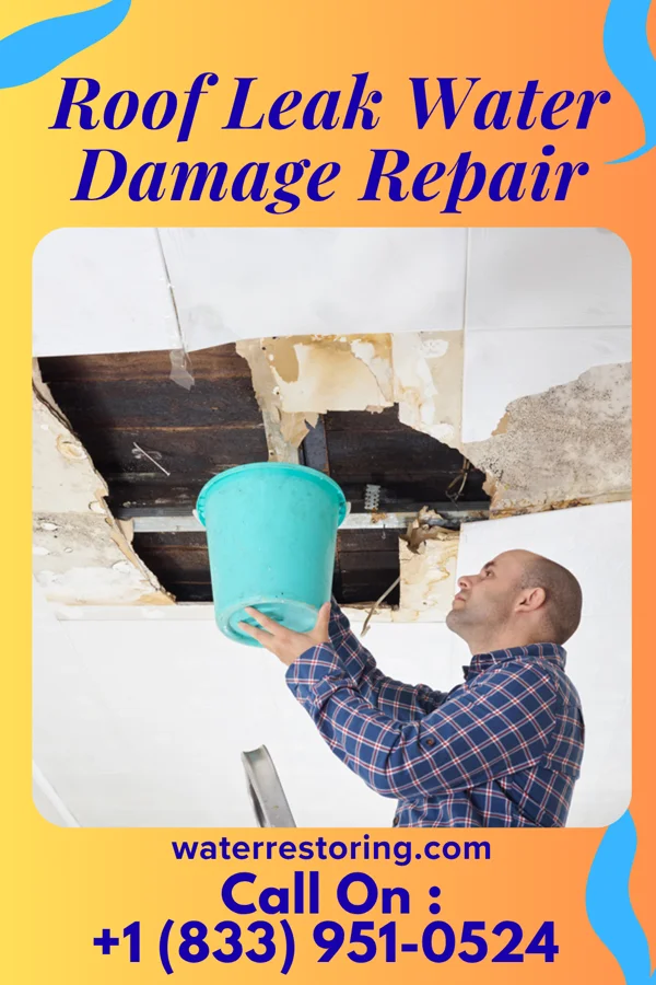 Roof Leak Water Damage Repair in Francisco, IN