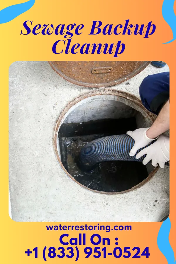 Sewage Backup Cleanup in Francisco, IN